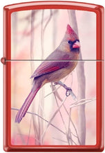Load image into Gallery viewer, Zippo Lighter- Personalized Engrave Cardinal Birds Songbird Perched #Z5537
