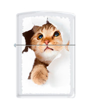 Load image into Gallery viewer, Zippo Lighter-Cat Pet Animal Windproof Lighter (Kitty Cat Inside Hole #Z5564)

