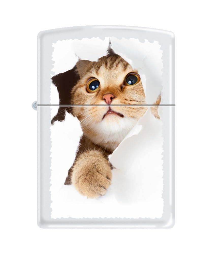 Zippo Lighter-Personalized Custom Message Engraved on Backside for Pet House Cat Paw Kitten Kitty Design Windproof Lighter Kitty Cat Inside Hole #Z5564