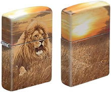 Load image into Gallery viewer, Zippo Lighter- Personalized Engrave Animals Outdoors Nature Lion 540 #Z6015

